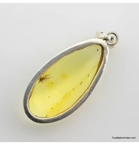 Baltic amber silver pendant w insect inclusion 8g