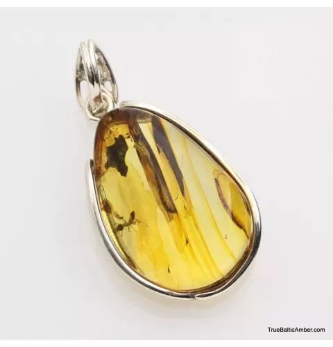 Baltic amber silver pendant w insect inclusion 7g