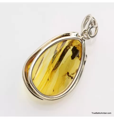 Baltic amber silver pendant w insect inclusion 7g