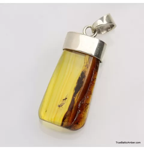 Baltic amber silver pendant w insect inclusion 7g