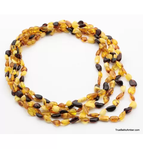 5 Multi BEANS Baltic amber adult wholesale necklaces 21in