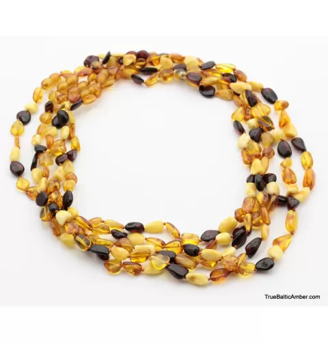 5 Multi BEANS Baltic amber adult wholesale necklaces 21in