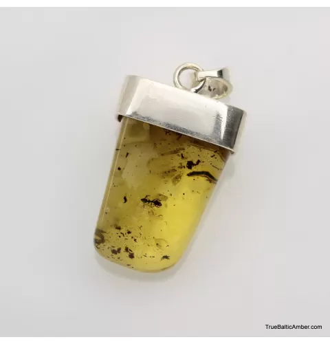 Baltic amber silver pendant w insect inclusion 11g