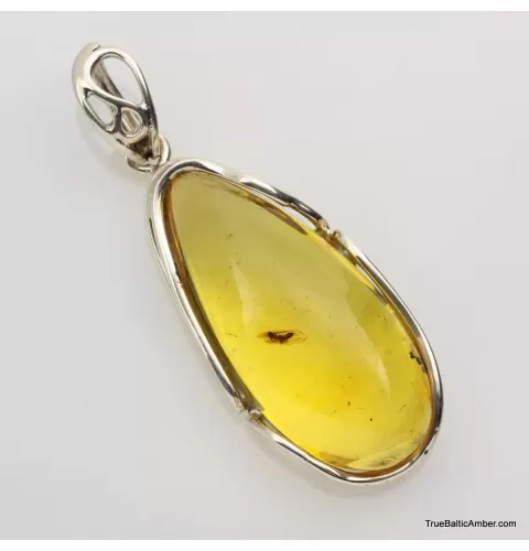 Baltic amber silver pendant w insect inclusion 10g