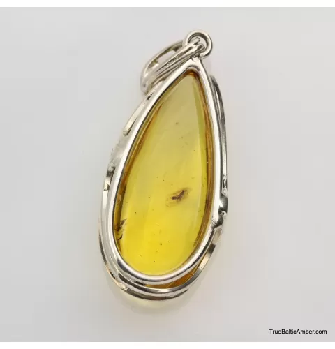 Baltic amber silver pendant w insect inclusion 10g