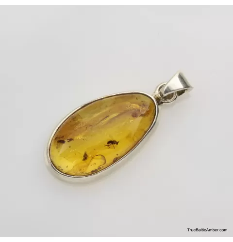 Baltic amber silver pendant w insect inclusion 5g