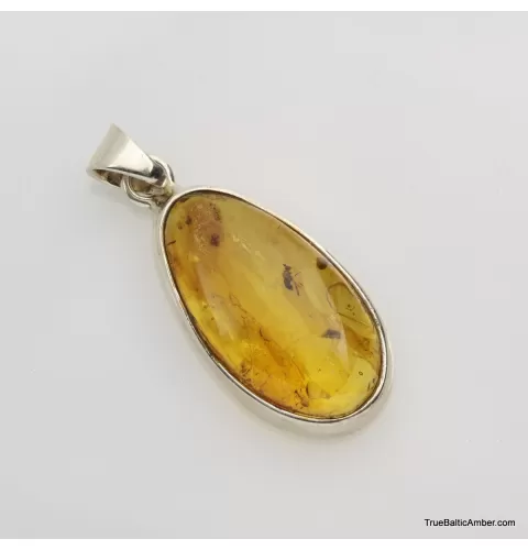 Baltic amber silver pendant w insect inclusion 5g