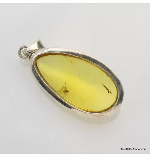 Baltic amber silver pendant w insect inclusion 8g