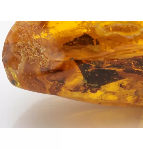 Huge amulet Baltic amber silver pendant w insect inclusion 55g