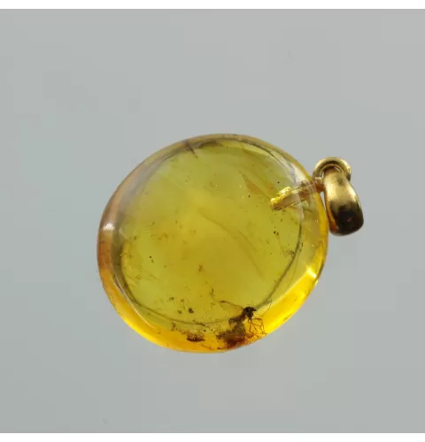 Drop Baltic amber pendant w insect inclusion