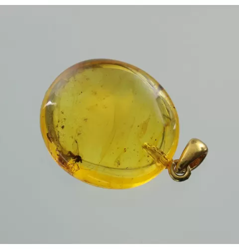 Drop Baltic amber pendant w insect inclusion