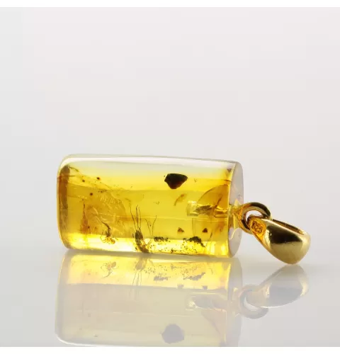 Cylinder shape Baltic amber Gold plated pendant w insects
