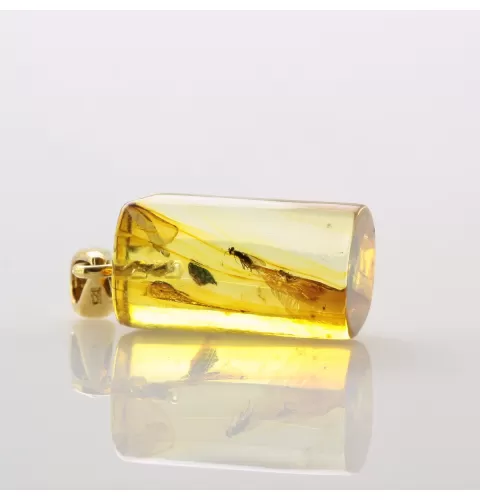Cylinder shape Baltic amber Gold plated pendant w insects