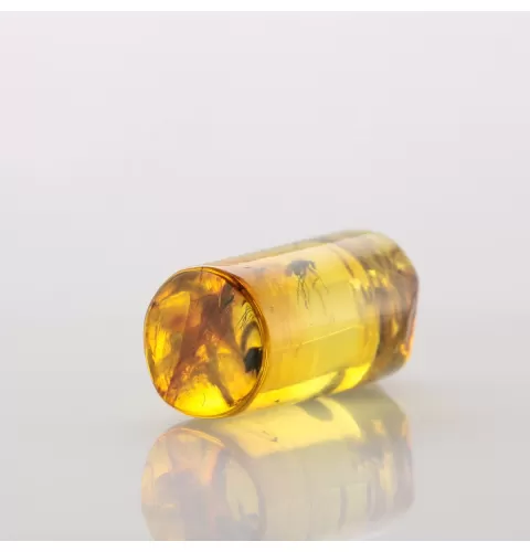 Cylinder shape Baltic amber Gold plated pendant w insects