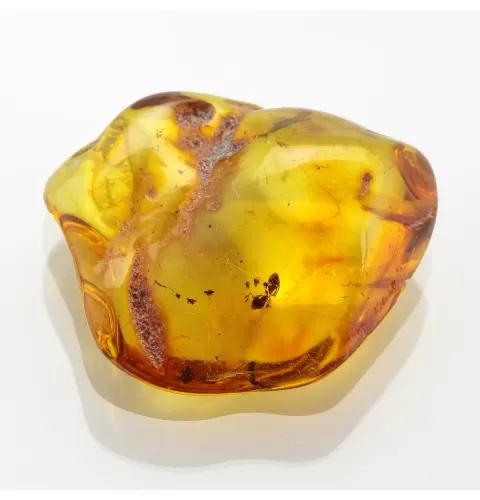 Ant Insect inclusions in Baltic amber fossil stone