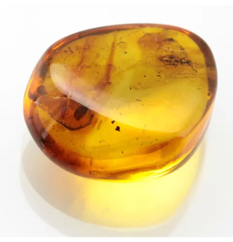 Ant Insect inclusions in Baltic amber fossil stone