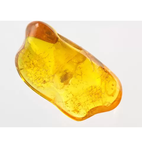 Insect inclusions in Baltic amber fossil stone