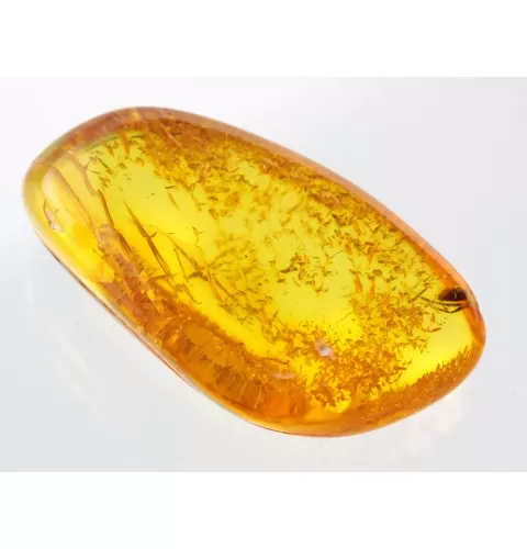 Insect inclusions in Baltic amber fossil stone