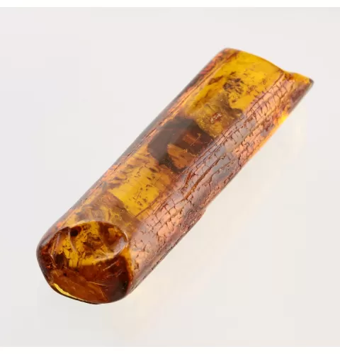 Insect inclusions in Baltic amber fossil stone