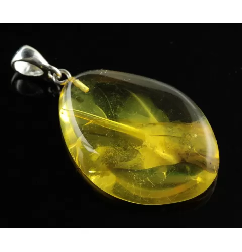 Rare Stalactite Fossil Free-Shaped Baltic Amber Pendant