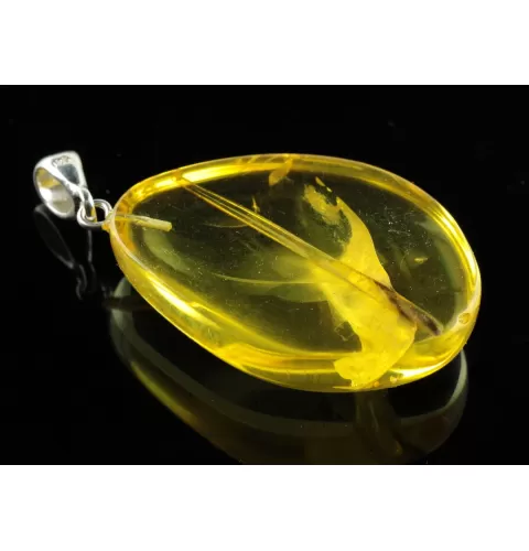 Rare Stalactite Fossil Free-Shaped Baltic Amber Pendant
