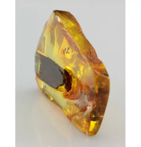 Insect inclusions in Baltic amber fossil stalactite stone