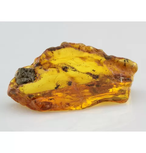 Insect inclusions in Baltic amber fossil large stone