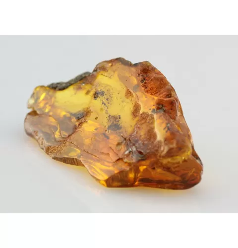 Insect inclusions in Baltic amber fossil large stone