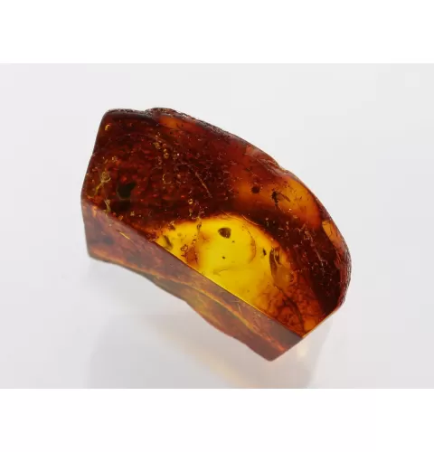 Insect inclusions in Baltic amber fossil large stone