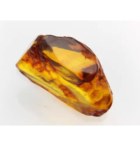 Insect inclusions in Baltic amber fossil large stone