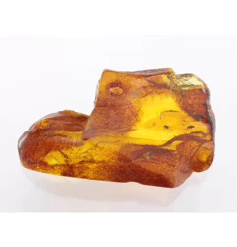 Insect inclusions in Baltic amber fossil large stone