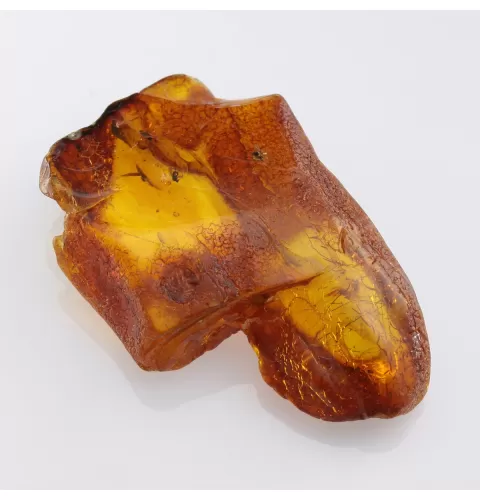 Insect inclusions in Baltic amber fossil large stone