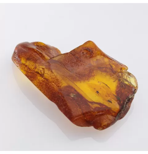 Insect inclusions in Baltic amber fossil large stone