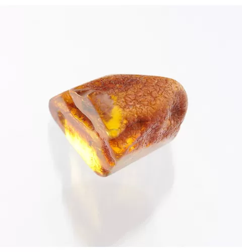 Insect inclusions in Baltic amber fossil large stone