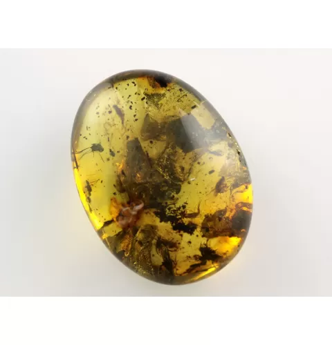 Fly Insect inclusions in Baltic amber fossil stone
