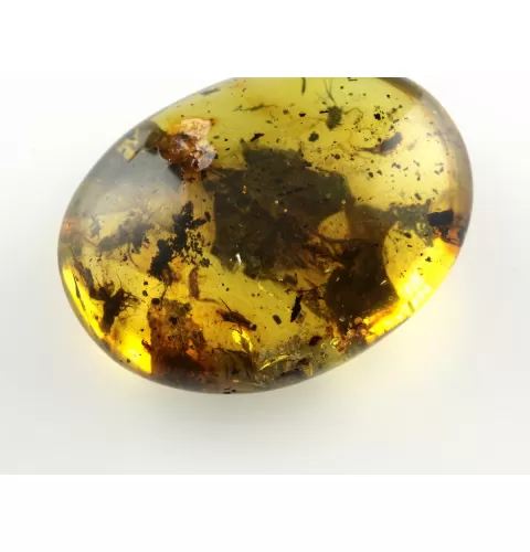 Fly Insect inclusions in Baltic amber fossil stone
