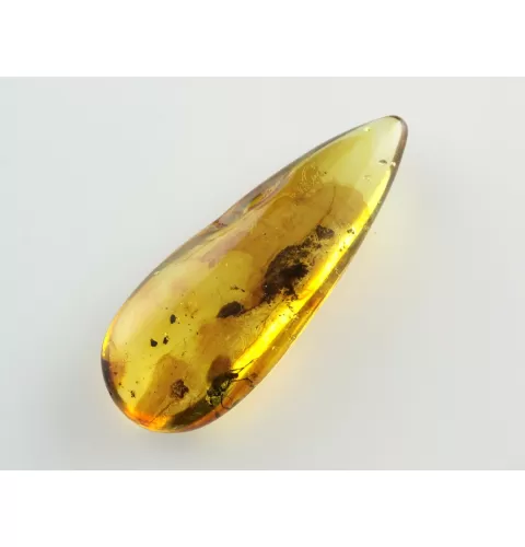 Fly Insect inclusions in Baltic amber fossil stone