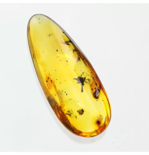 Flower Insect inclusions in Baltic amber fossil stone