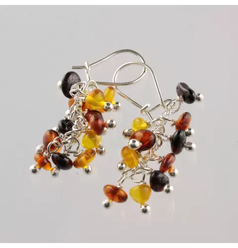 Grape bunch Baltic amber hook earrings