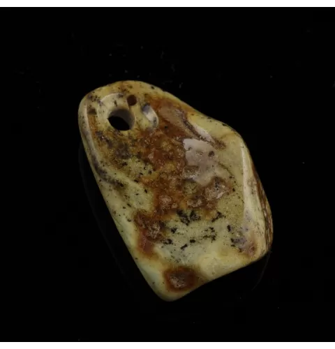Baltic Amber Medallion pendant with hole