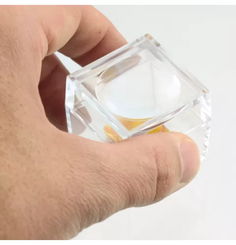 Trapped insect in Baltic amber with magnifying box