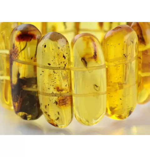 Baltic amber stretch bracelet with insect inclusions 19cm