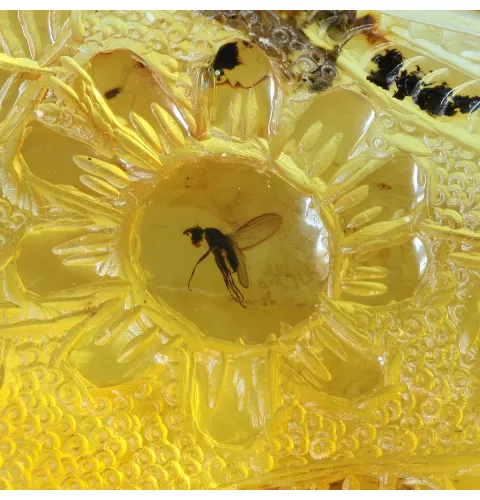 Carved Amulet Baltic amber fossil pendant w insect