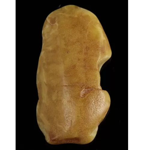 Polished Genuine Baltic amber 17g Stone