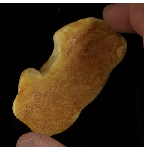 Polished Genuine Baltic amber 17g Stone