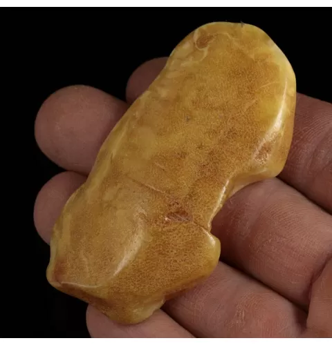 Polished Genuine Baltic amber 17g Stone