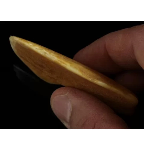 Polished Genuine Baltic amber 17g Stone