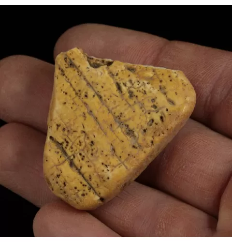 Raw Rough Genuine Baltic amber 10g Stone