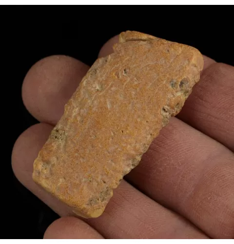 Raw Rough Genuine Baltic amber 8g Stone
