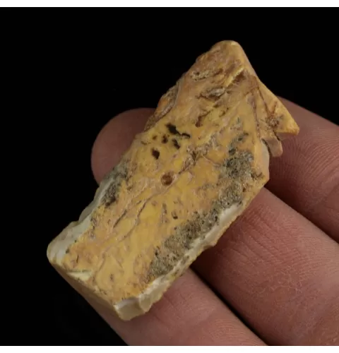 Raw Rough Genuine Baltic amber 8g Stone